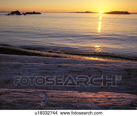 Picture - park, washington, orange, driftwood, beach, water. Fotosearch
