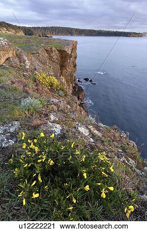 pass, head, deception, island, fidalgo, rosario View Large Photo Image Stock Image - pass, head, deception, island, fidalgo, rosario. Fotosearch