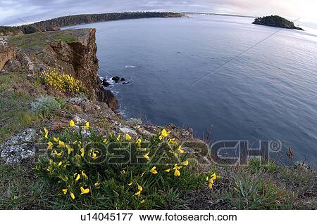pass, head, deception, island, fidalgo, rosario View Large Photo Image Stock Photo - pass, head, deception, island, fidalgo, rosario. Fotosearch