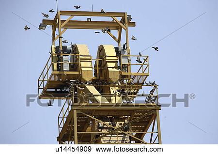 perched, grain, pioneer, flying, pigeons View Large Photo Image Stock Photo - perched, grain, pioneer, flying, pigeons. Fotosearch