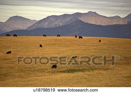 pincher, view, nw, mountains, rocky, scenic View Large Photo Image Stock Photo - pincher, view, nw, mountains, rocky, scenic. Fotosearch