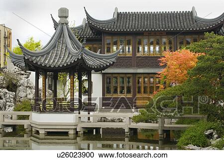 plant, classical, botanical, garden, chinese, portland View Large Photo Image Stock Image - plant, classical, botanical, garden, chinese, portland. Fotosearch