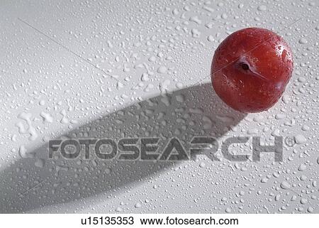 Stock Image - plum, fruit, background, white, one. Fotosearch