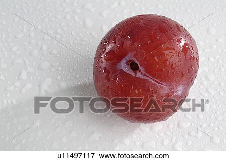 Stock Photo - plum, fruit, background, white, one. Fotosearch