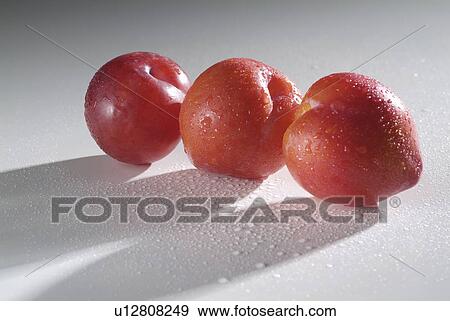 plums, plum, background, white, three View Large Photo Image Stock Photo - plums, plum, background, white, three. Fotosearch