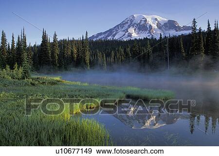 Stock Photo - rainier, washington, grass, reflected, geology, landscape. Fotosearch