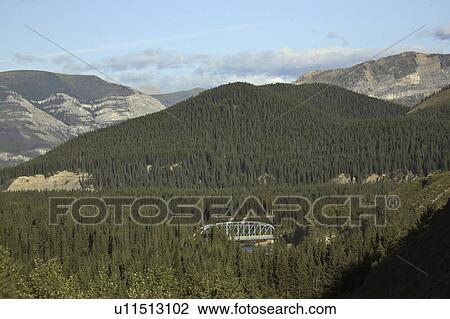 red, sw, river, deer, bridge View Large Photo Image Stock Image - red, sw, river, deer, bridge. Fotosearch
