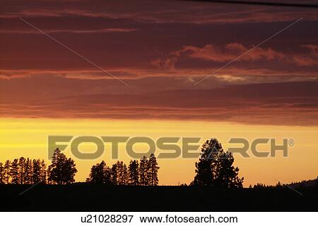 Stock Photo - reflect, sunset, cloud, silouette, sunrise, sun. Fotosearch