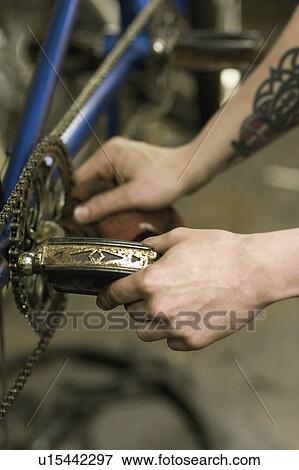 Stock Photo - repair, inspecting, bicycle, chain, peddle, worker. Fotosearch