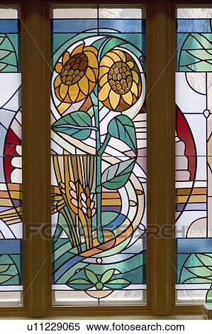 Stock Photography - resident, wheat, senior, shriners, window, sunflower. Fotosearch