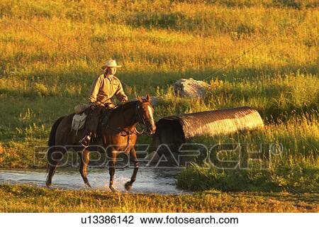 riding, released, horseback, female, woman, model View Large Photo Image Stock Image - riding, released, horseback, female, woman, model. Fotosearch