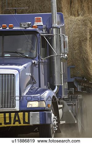 Stock Photo - road, hauling, country, bales, hay, truck. Fotosearch