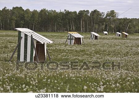 rural, shelters, canada, saskatchewan, scenic, beehive View Large Photo Image Stock Photo - rural, shelters, canada, saskatchewan, scenic, beehive. Fotosearch
