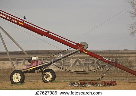 Stock Photograph - saskatchewan, augar, scenic, grain, spilled, new. Fotosearch