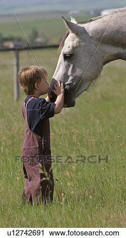saskatchewan, boy, southern, scenic, horse, young View Large Photo Image Stock Image - saskatchewan, boy, southern, scenic, horse, young. Fotosearch