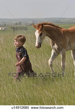saskatchewan, boy, southern, scenic, colt, young View Large Photo Image Stock Photography - saskatchewan, boy, southern, scenic, colt, young. Fotosearch