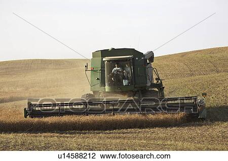 saskatchewan, combing, scenic, row, last, farmer View Large Photo Image Stock Image - saskatchewan, combing, scenic, row, last, farmer. Fotosearch