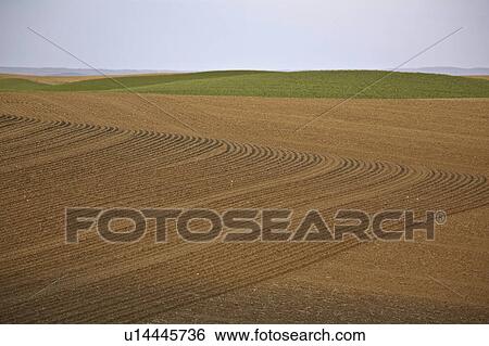 saskatchewan, field, scenic, coteau, missouri, cultivated View Large Photo Image Stock Photograph - saskatchewan, field, scenic, coteau, missouri, cultivated. Fotosearch