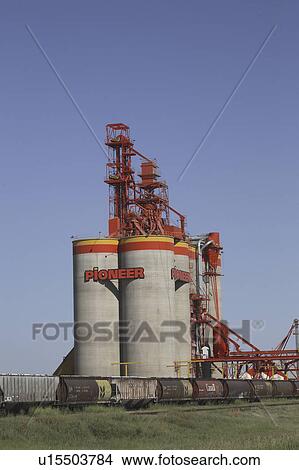 Picture - saskatchewan, grain, scenic, weyburn, terminal, pioneer. Fotosearch