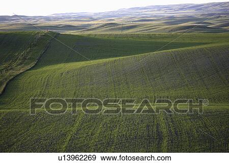 Stock Photo - saskatchewan, growing, scenic, coteau, missouri, crops. Fotosearch