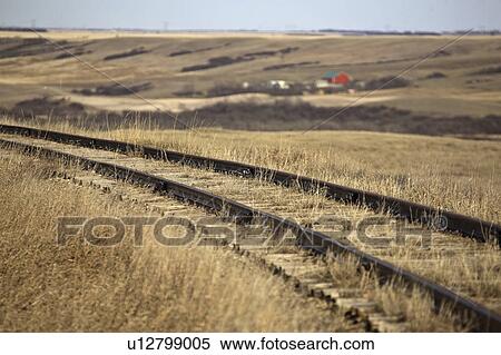 saskatchewan, growing, scenic, railroad, unused, vegetation View Large Photo Image Stock Photography - saskatchewan, growing, scenic, railroad, unused, vegetation. Fotosearch