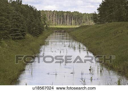 Picture - saskatchewan, porcupine, scenic, forest, provincial, canal. Fotosearch