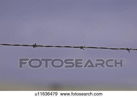 Stock Photo - saskatchewan, strand, scenic, pants, ripped, barbedwire. Fotosearch