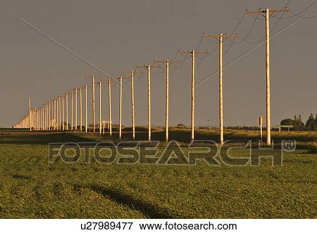 Stock Photo - saskatchewan, telephone, scenic, sunset, poles, line. Fotosearch