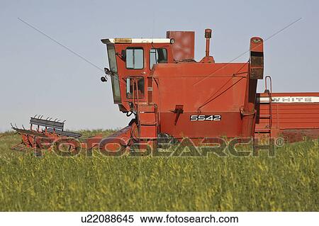 saskatchewan, white, scenic, field, combine, idle View Large Photo Image Stock Photography - saskatchewan, white, scenic, field, combine, idle. Fotosearch