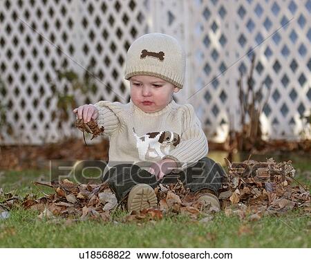 scenic, boy, leaves, autumn, playing, young View Large Photo Image Stock Image - scenic, boy, leaves, autumn, playing, young. Fotosearch