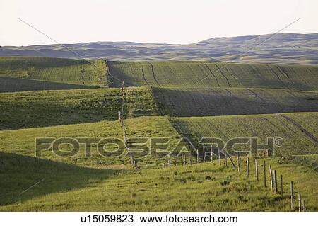 Stock Image - scenic, crops, coteau, missouri, growing, new. Fotosearch