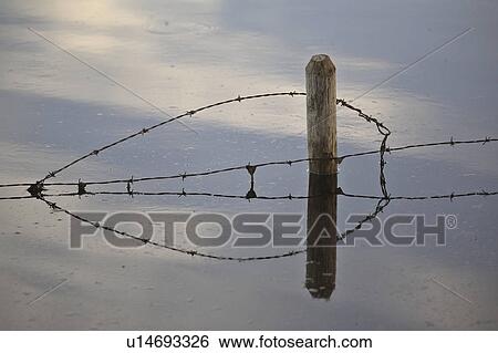 scenic, fence, pond, roadside, through, babrbedwire View Large Photo Image Stock Photograph - scenic, fence, pond, roadside, through, babrbedwire. Fotosearch