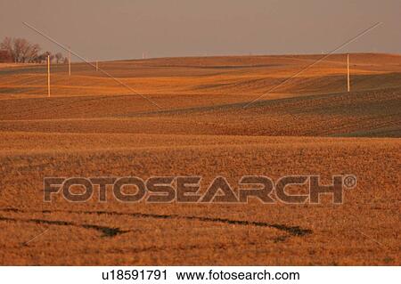 Stock Image - scenic, light, field, stubble, sunrise, low. Fotosearch