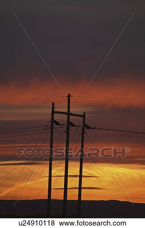 Stock Photo - scenic, pole, sun, setting, silhouetted, hydro. Fotosearch