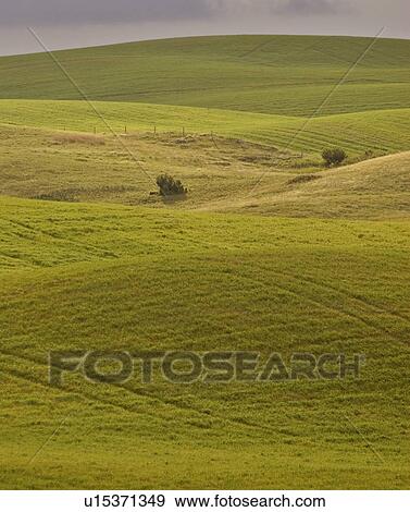 Stock Photo - scenic, rolling, jaw, moose, hills, lovely. Fotosearch