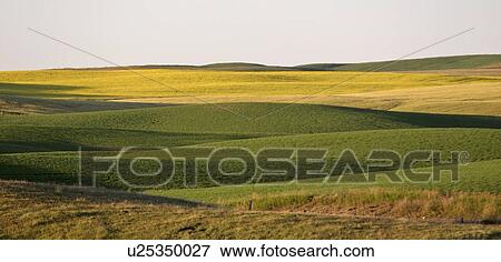 scenic, rolling, jaw, moose, hills, crops View Large Photo Image Stock Photo - scenic, rolling, jaw, moose, hills, crops. Fotosearch