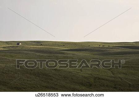 scenic, shadows, coteau, missouri, fields, sunlit View Large Photo Image Stock Image - scenic, shadows, coteau, missouri, fields, sunlit. Fotosearch