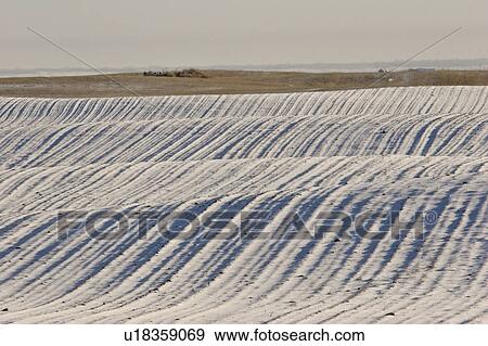 Stock Photo - scenic, snow, field, cultivated, patterns, lovely. Fotosearch