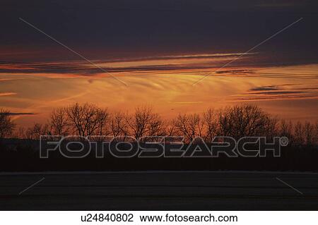 scenic, trees, sun, setting, silhouetted, windrow View Large Photo Image Stock Image - scenic, trees, sun, setting, silhouetted, windrow. Fotosearch