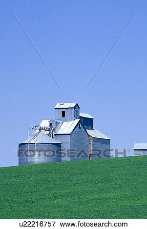 sky, silos, blue, fields, wheat, grain View Large Photo Image Stock Photo - sky, silos, blue, fields, wheat, grain. Fotosearch