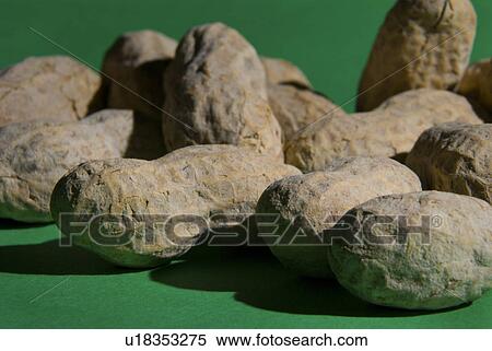 Stock Photography - small, peanut, concept, shell, food, peanuts. Fotosearch