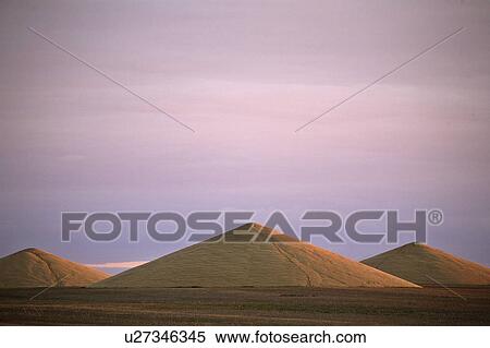 south, large, field, grain, piles, three View Large Photo Image Stock Photography - south, large, field, grain, piles, three. Fotosearch