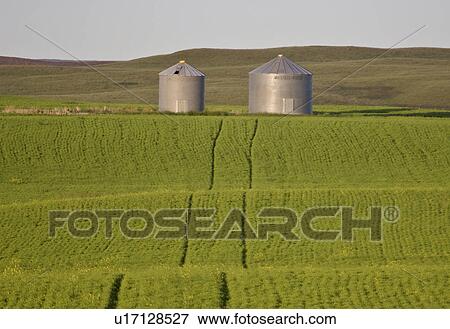 southern, silos, scenic, jaw, moose, crop View Large Photo Image Stock Photo - southern, silos, scenic, jaw, moose, crop. Fotosearch
