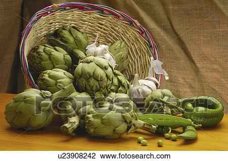 spain, vegetable, barcelona, vilanova, compostions, fruit View Large Photo Image Stock Image - spain, vegetable, barcelona, vilanova, compostions, fruit. Fotosearch