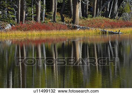 Stock Image - spring, reflection, fall, autumn, mirror, pond. Fotosearch