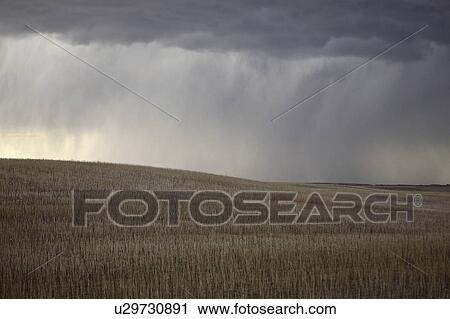 storm, rain, canada, saskatchewan, scenic, approaching View Large Photo Image Stock Image - storm, rain, canada, saskatchewan, scenic, approaching. Fotosearch
