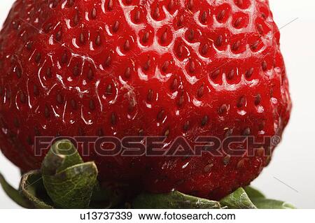 strawberry, desert, food, fruit, whole View Large Photo Image Stock Photo - strawberry, desert, food, fruit, whole. Fotosearch
