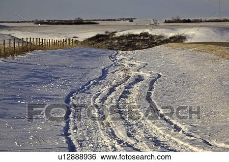 Stock Photograph - stubble, snow, fence, wire, barbed, tracks. Fotosearch