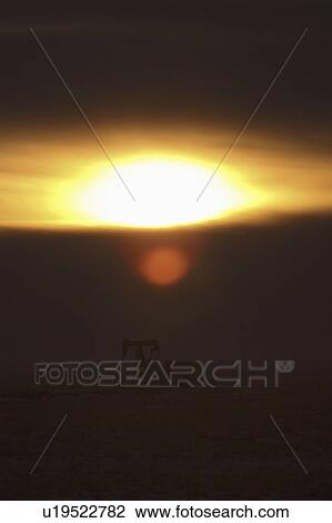 sun, digital, setting View Large Photo Image Stock Image - sun, digital, setting. Fotosearch