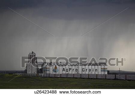 terminal, following, grain, agrpro, behind, rain View Large Photo Image Stock Photo - terminal, following, grain, agrpro, behind, rain. Fotosearch